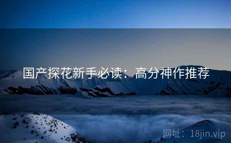 国产探花新手必读：高分神作推荐