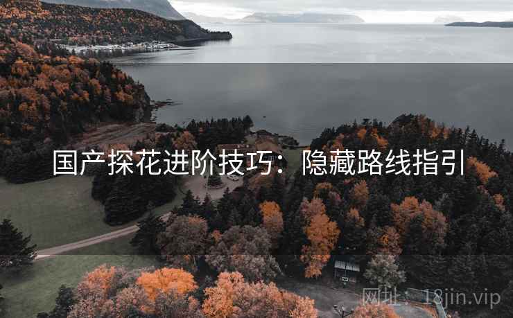 国产探花进阶技巧：隐藏路线指引