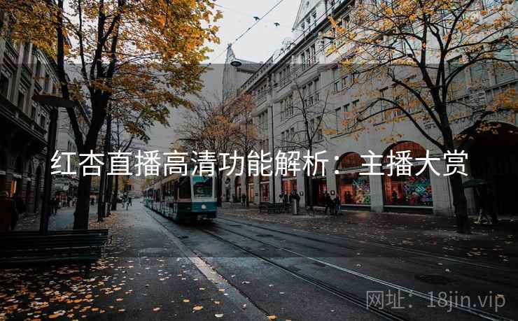 红杏直播高清功能解析:主播大赏